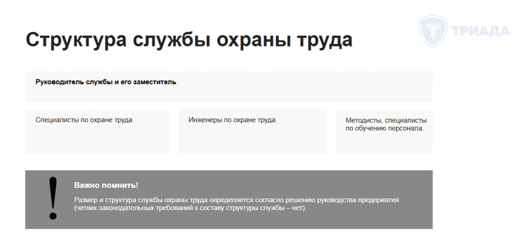 предполагаемая структура службы охраны труда