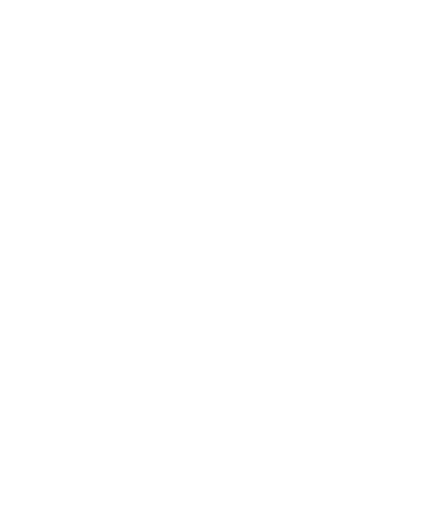 логотип фирмы триада - белый