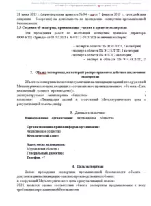 заключение экспертизы промбезопасности - образец