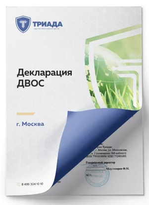 обложка декларации двос