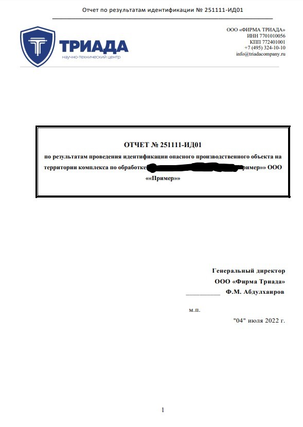 обложка отчета об идентификации ОПО