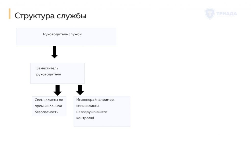 структура службы производственного контроля (рекомендуемая)