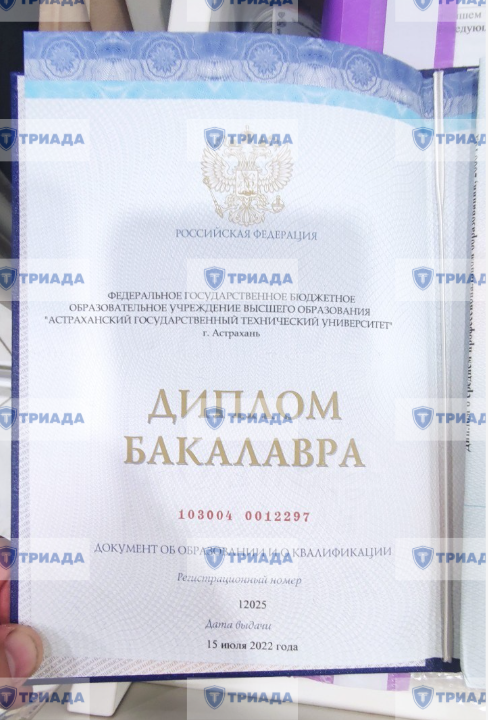 диплом эксперта