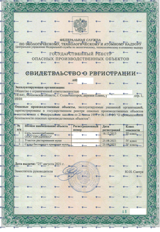 свидетельство о регистрации образец 