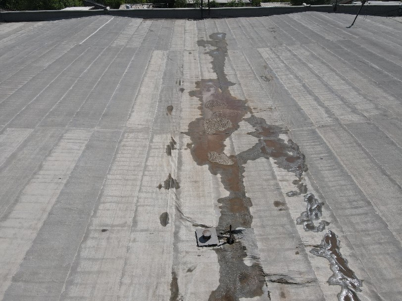 Застой воды на кровле