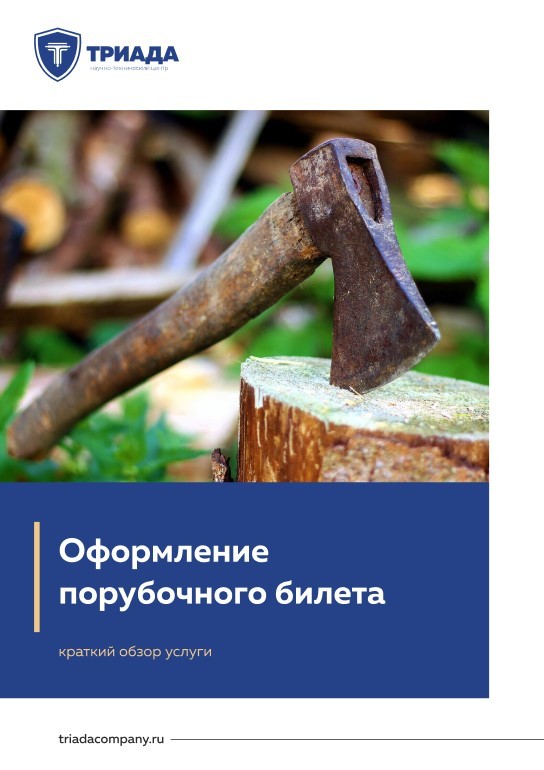 порубочный билет