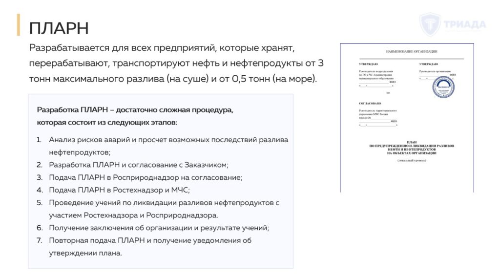 ПЛАРН - кратко об услуге