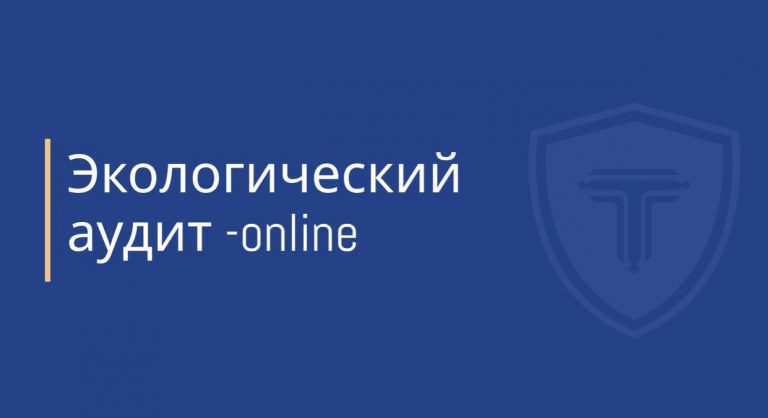 Экологический онлайн аудит